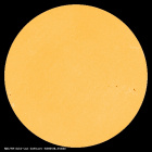 SDO/HMI Continuum Image of the Sun